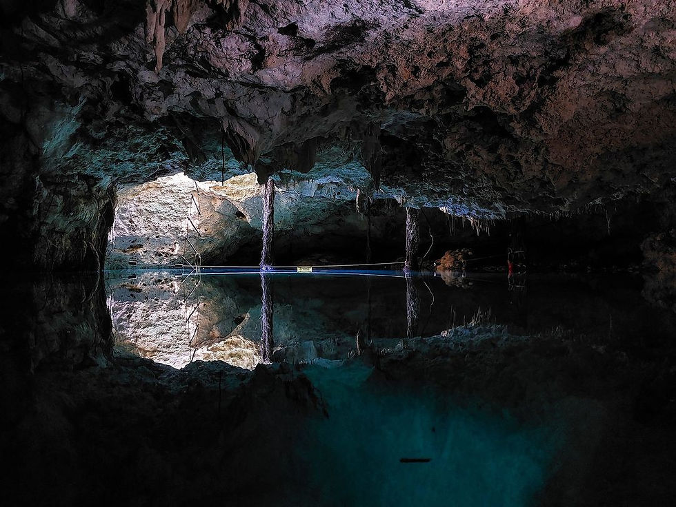 315844733_511925100952440_5593283739904302855_n