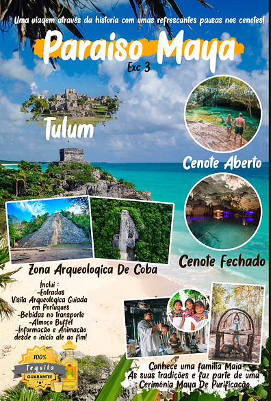 DIPTICO MX DENTRO JPG.jpg