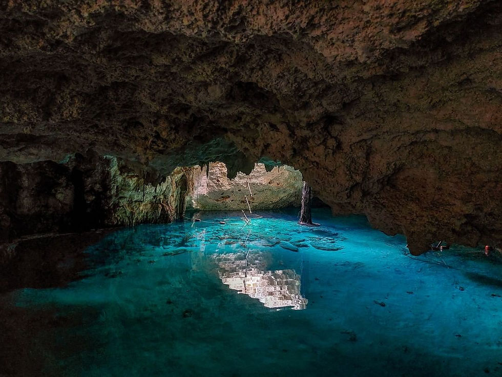 314994854_5455189517868211_7761046731532660609_n