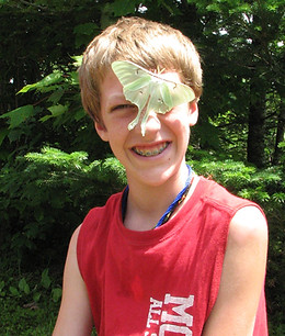 A boy poses with a large moth
