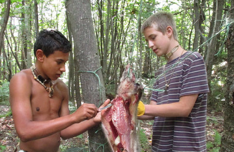 Two boys skinning a possum