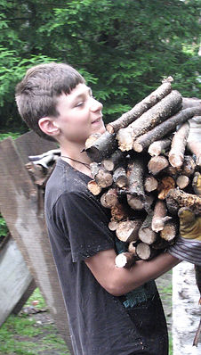 Boy carrying firewood to the wood shelter
