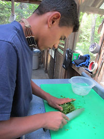 Boy chopping vegetables