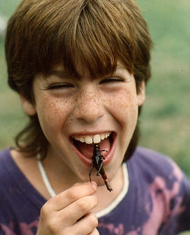 Camper eating a fried grasshopper