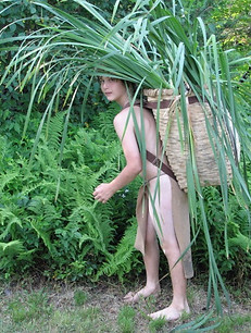A boy gathering cattails for camp projects