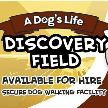 Dogs Discovery_edited.jpg