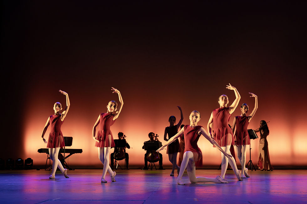 Función Icons Night 2023