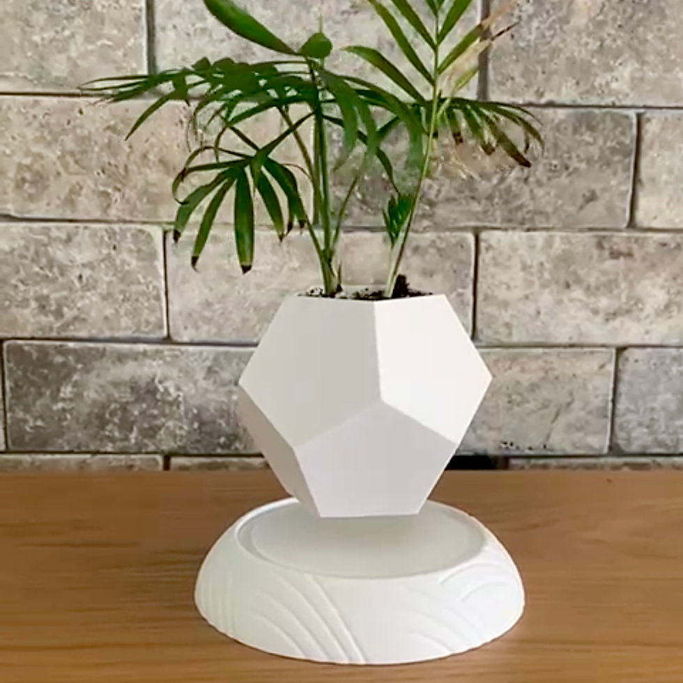 Thumbnail: Levitating plant pot