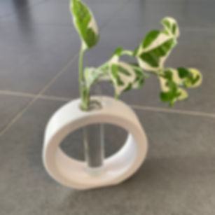 Test Tube Planter