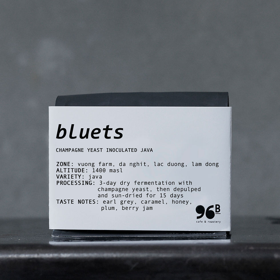 BLUETS / drip