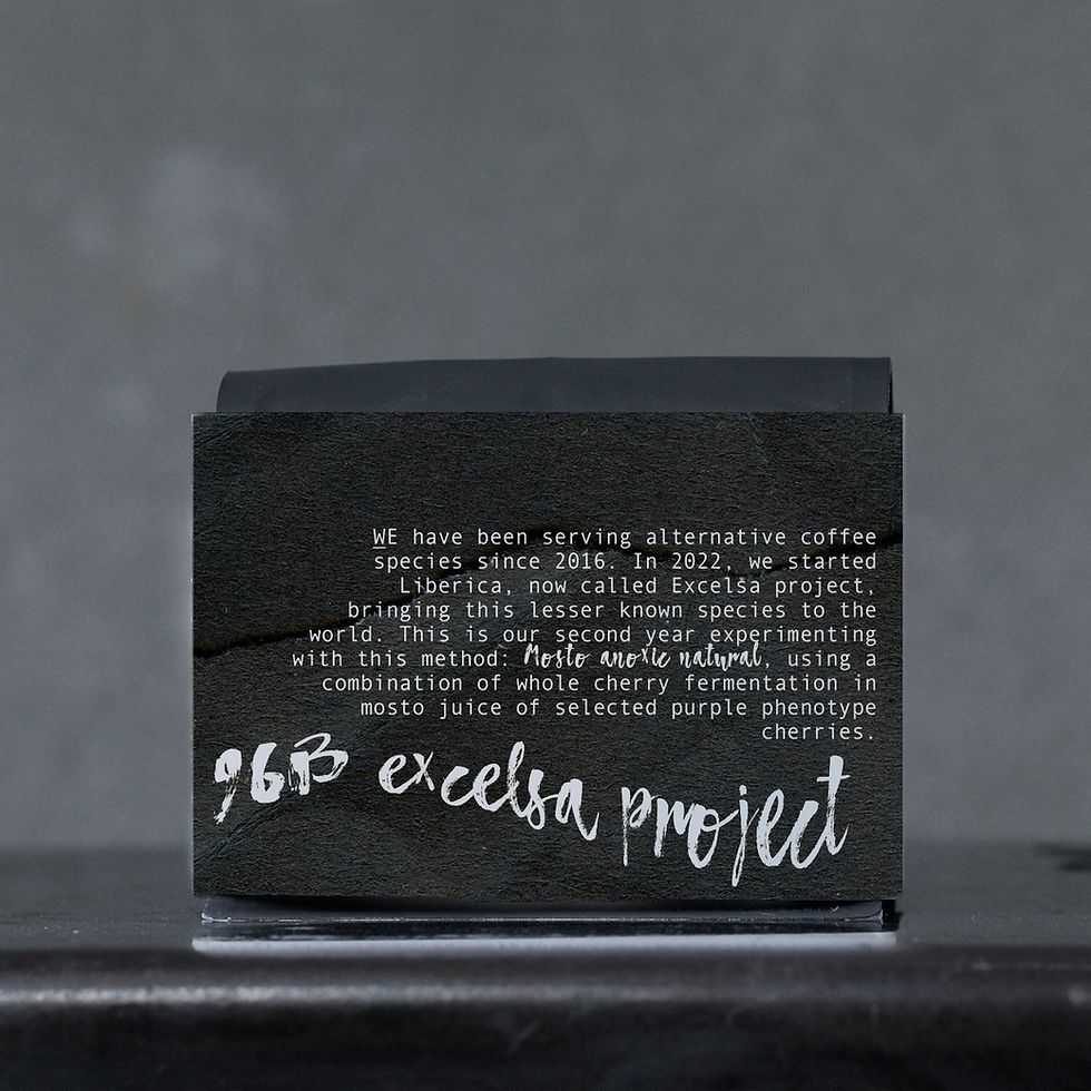 Thumbnail: 96B EXCELSA PROJECT '26: MOSTO ANOXIC NATURAL / drip / espresso