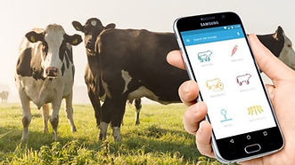 high tech milking
