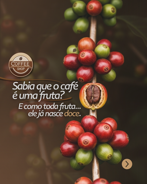 Campanha - Coffee Shop