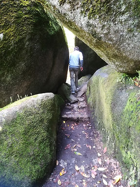 gite-proche-foret-huelgoat.jpg