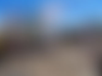 運動会を開催しました