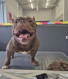 WhatsApp Image 2025-12-30 at 20.56.40 (3).jpeg