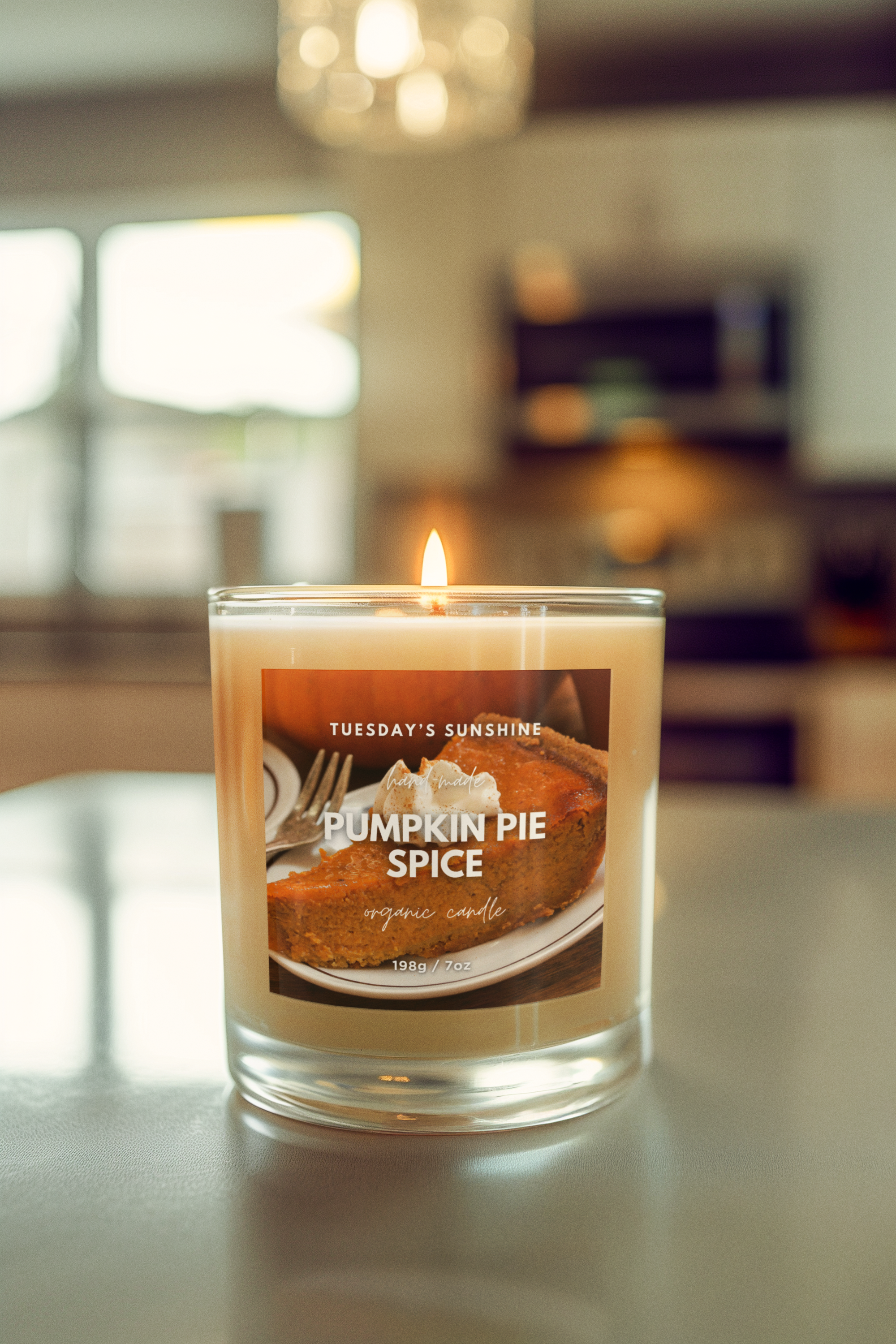 "Pumpkin Pie Spice" 7oz Single Wick Candle
