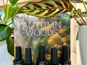 Espositore smalti Autumn Woods Ebrand con 5 colori autunnali su fondo bosco, manicure autunnale EstetiStar Pordenone