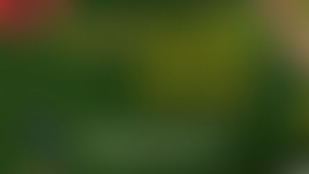 GUIA DE PRESENTES DE BELEZA | NPN 2025