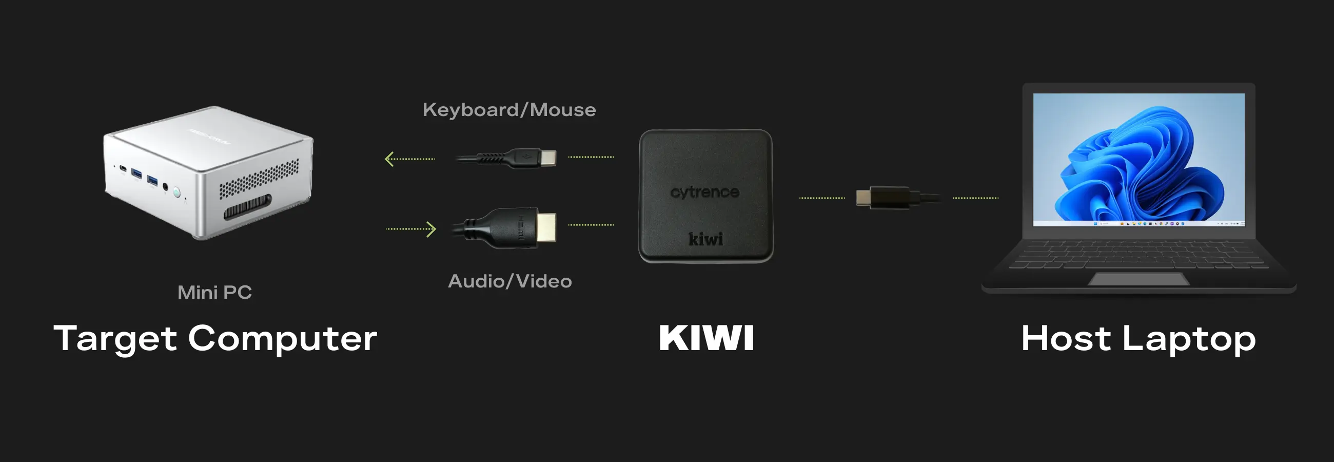 Kiwi-targets.webp