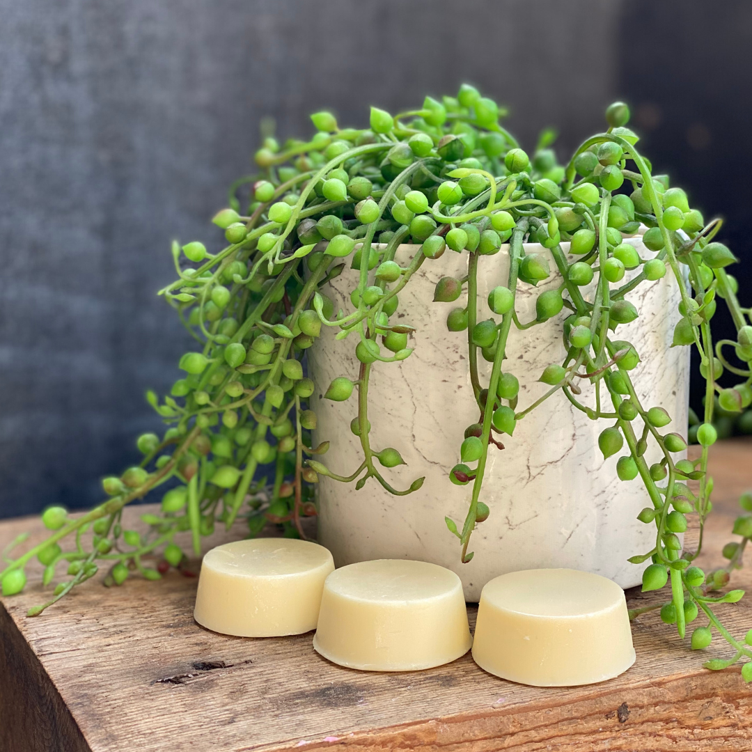 Vanilla Conditioner Bar by Organic Ministry