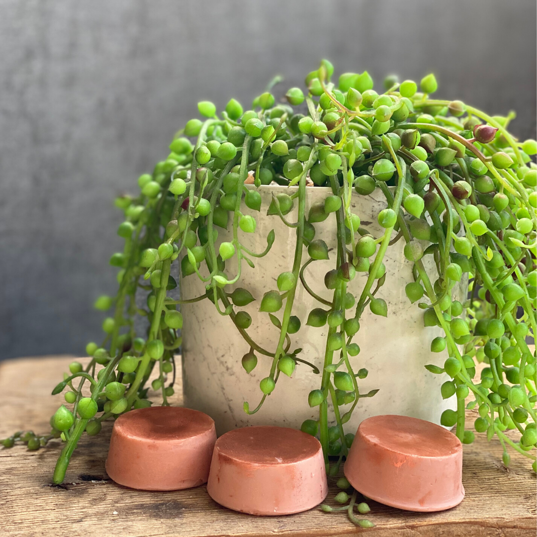 Amber Conditioner Bar by Organic Ministry