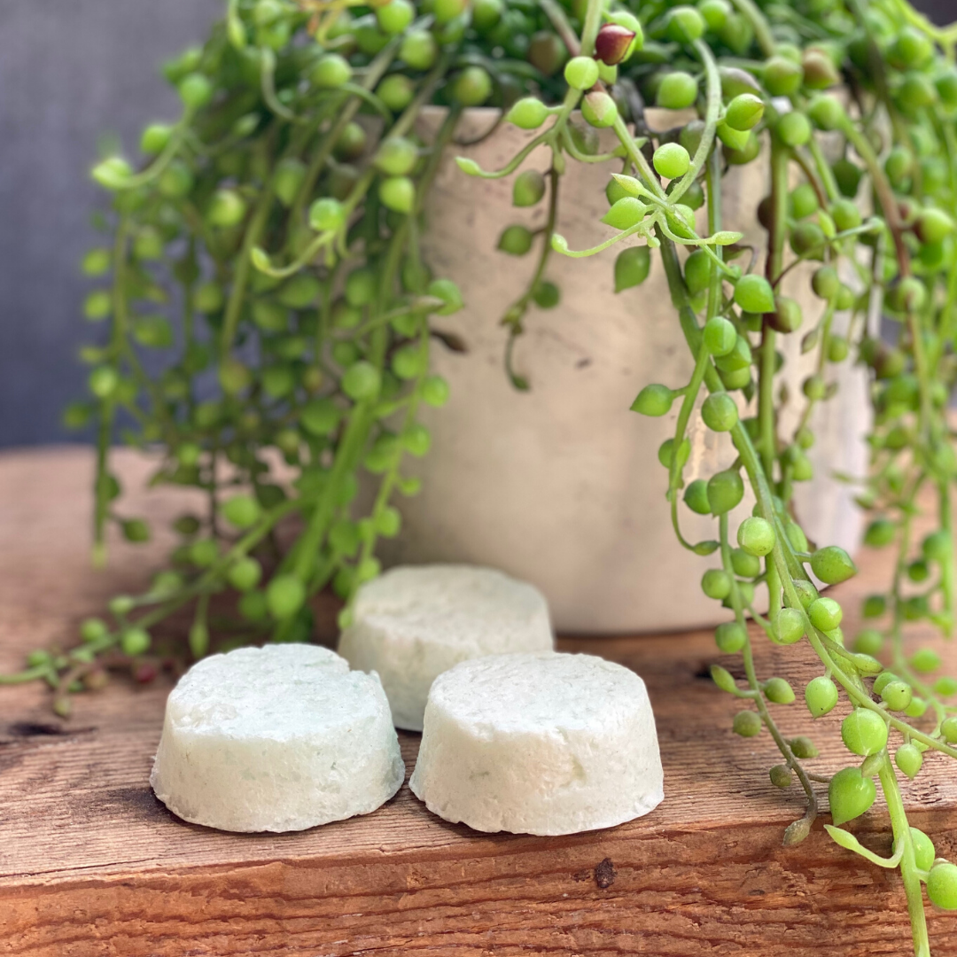 Jasmine & Magnolia Shampoo Bar by Organic Ministry