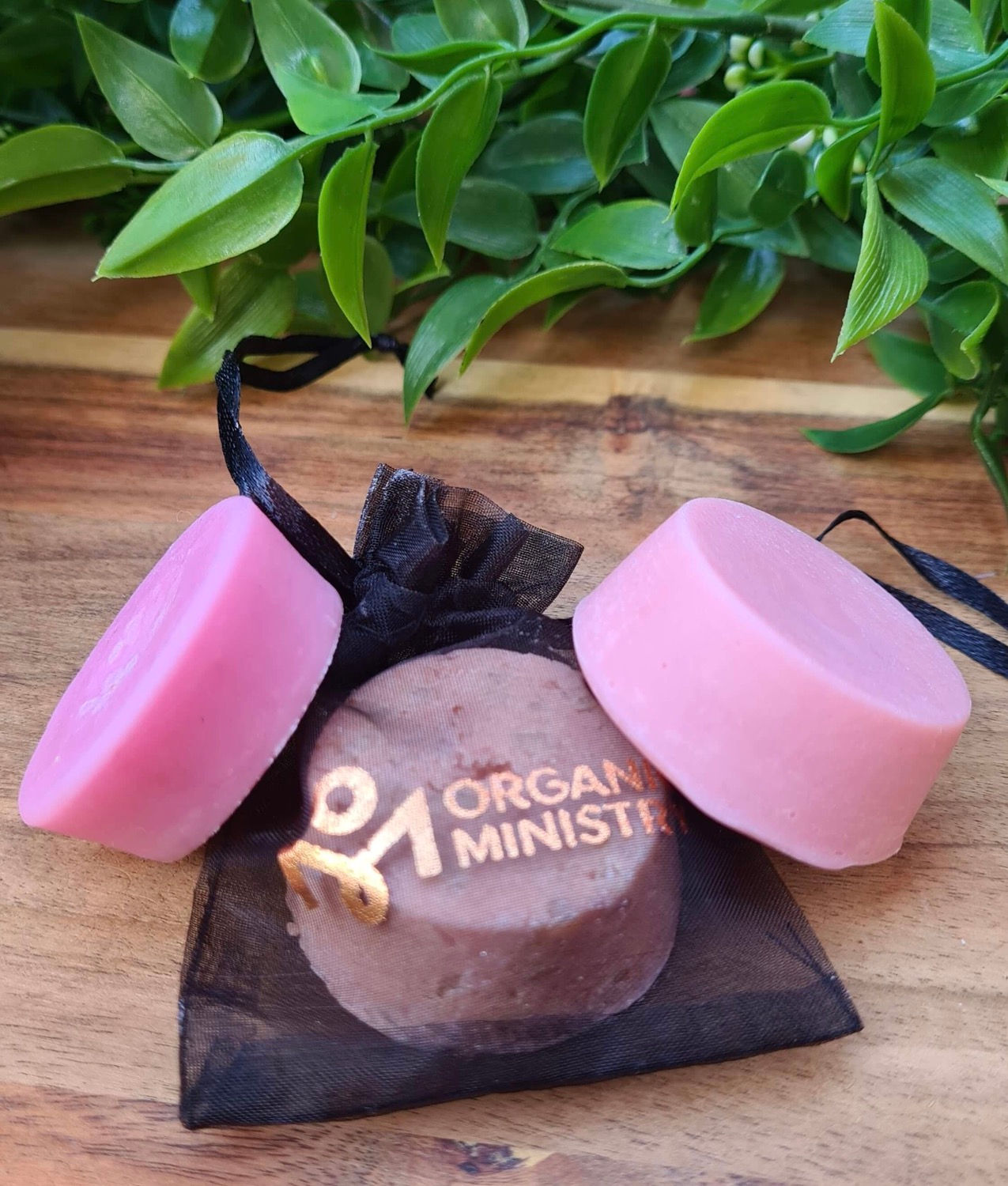 Watermelon Shampoo & Conditioner Bar Set