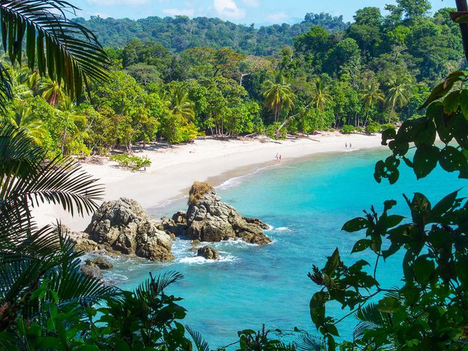 Welcome to Black Bird Coffee