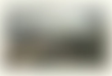 The Falmouth Packet Service