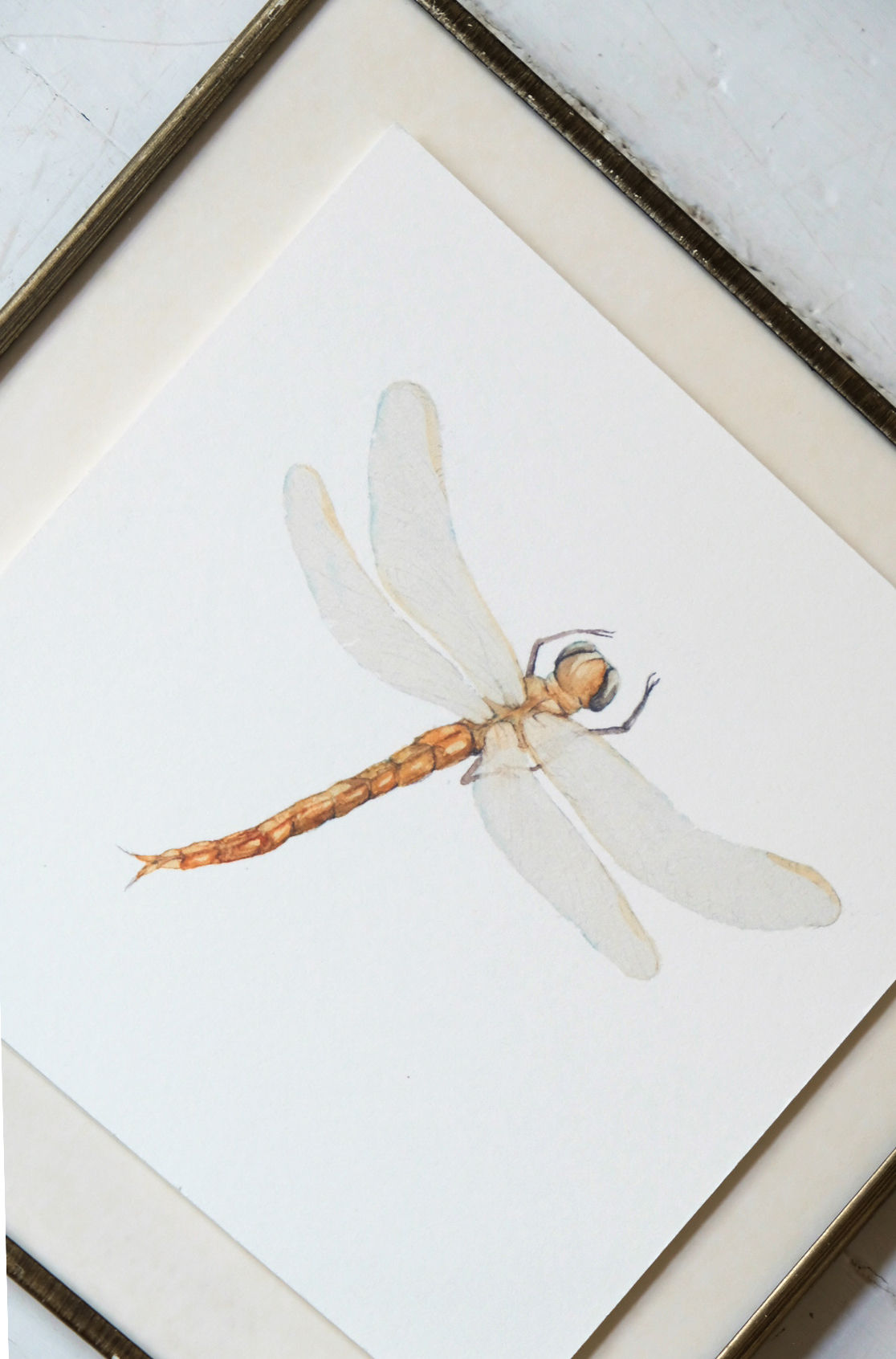Dragonfly Art Print