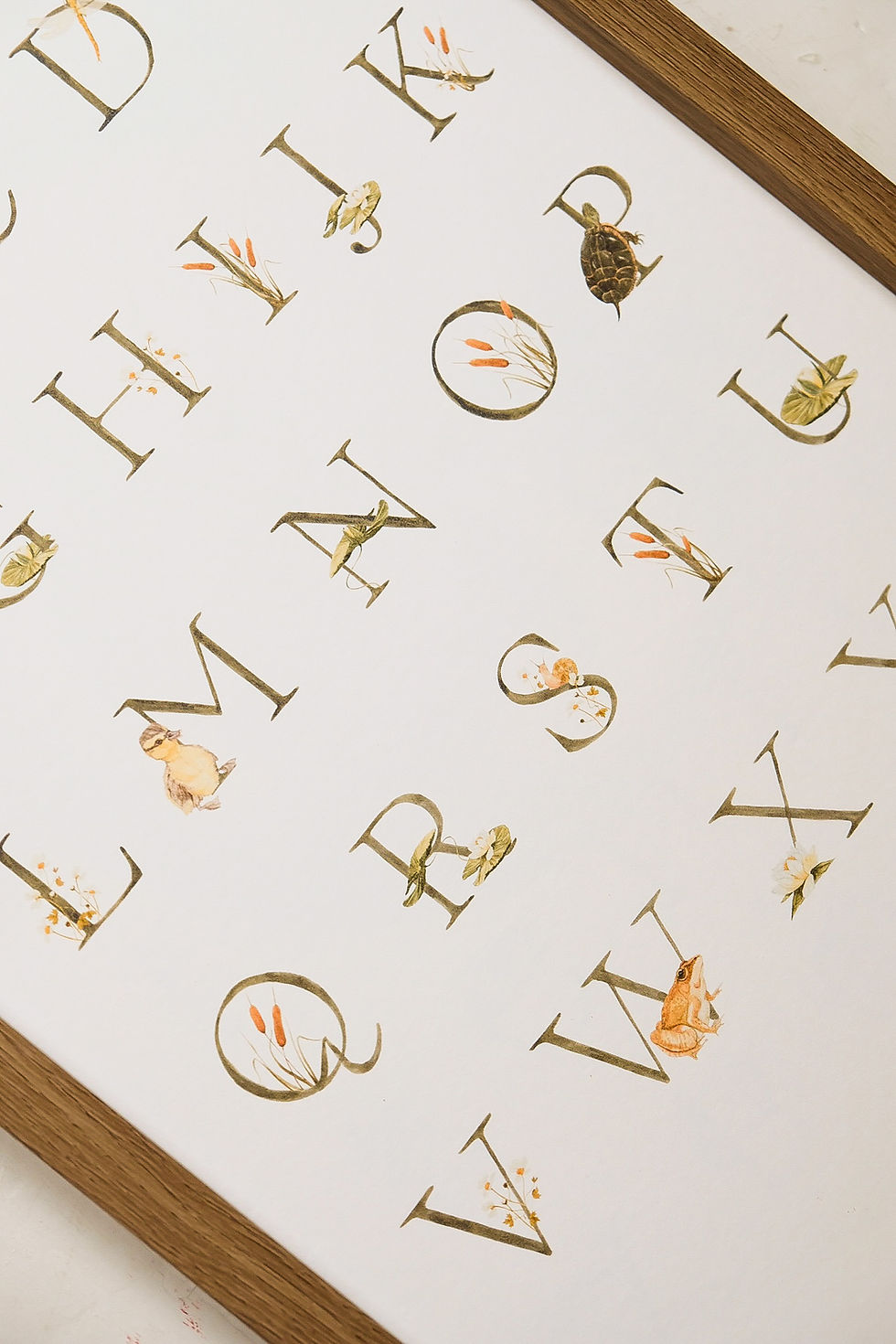 Thumbnail: Pond Alphabet Print