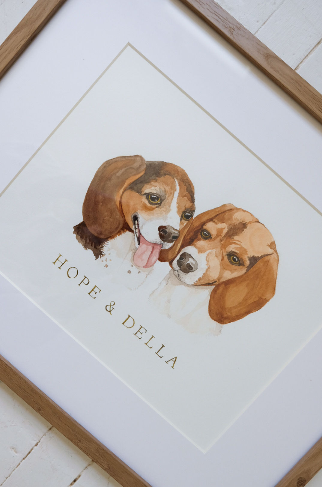 Pet Portraits