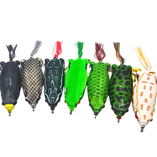 Frogs | Sukit