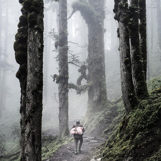 Old man walking on path through ancient forest in the monsoon, Nepal.