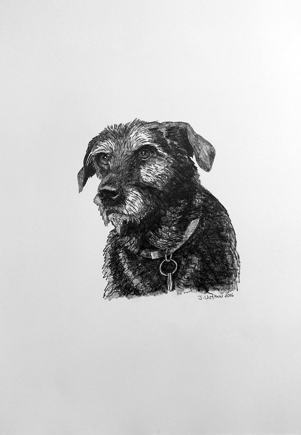 WAG