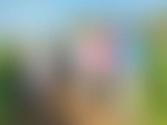 मोफत शेतीविषयक मार्गदर्शन.