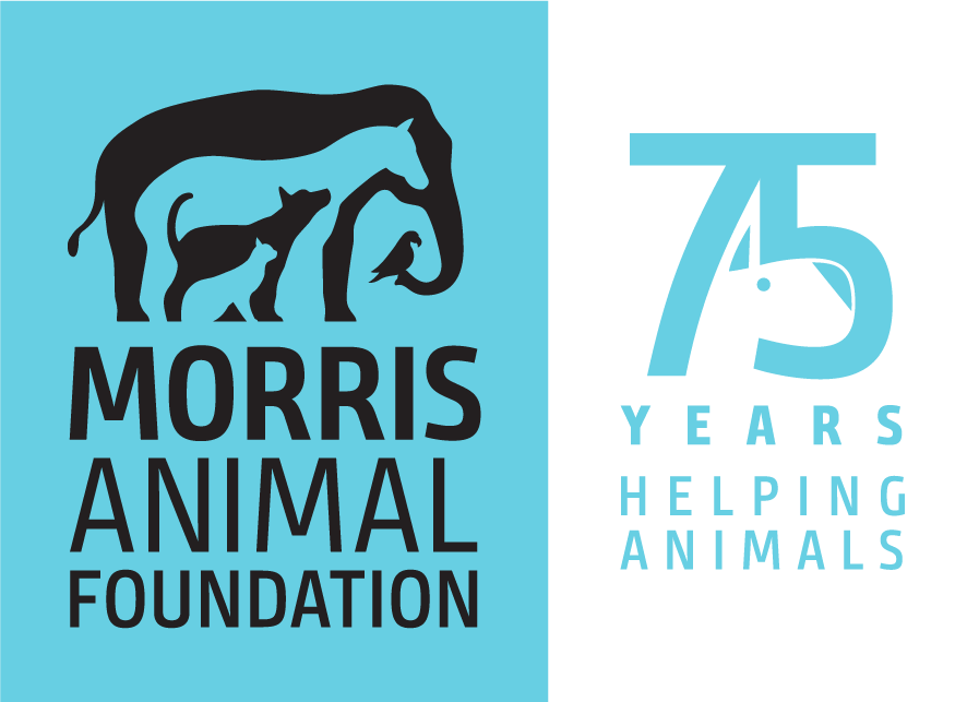 MORRIS ANIMAL FOUNDATION LOGO.webp