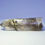 Thumbnail: Quartz with Schorl Tourmaline Inclusions from Namibia