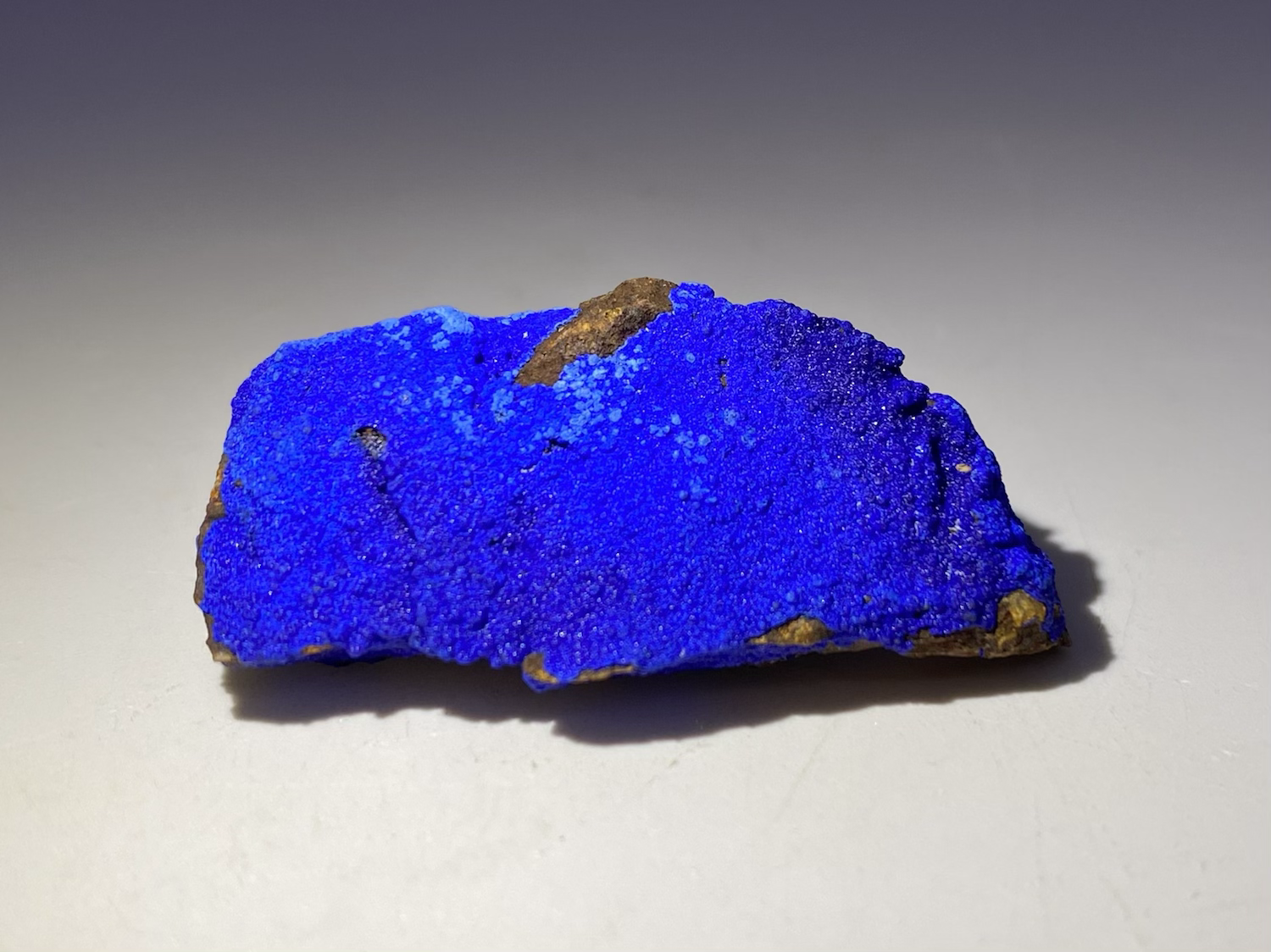 Azurite on Goethite pseudomorph after Quartz from Dongchuan, China