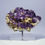 Thumbnail: Purple Fluorite on Quartz from Qinglong Mine, Guizhou, China