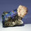 Thumbnail: Collector's Piece: Bornite and Barite with Chalcopyrite from Daye Mine