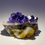 Thumbnail: "Tanzanite" Fluorite on Quartz from Xiayang Mine, China