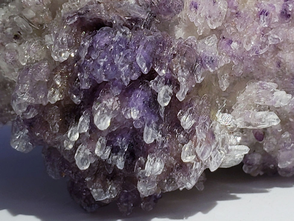 Thumbnail: Collector’s Piece: Gypsum var. Selenite coated Cave Calcite Stalactite from Wens