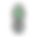 PIÑA NEGRA (2).png