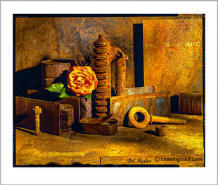still life photography southern california