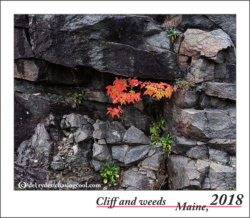nature photographer prints