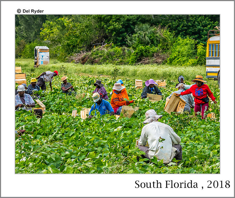 documentary photographer orange county california