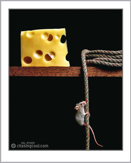 still life fine art photography