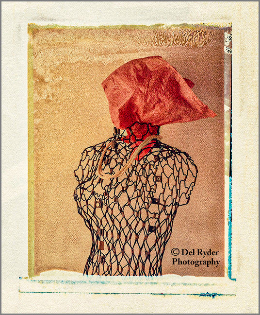 fine art still life photography